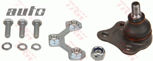 JBJ113 TRW SWORZEŃ WAHACZA