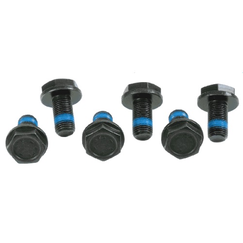 3096 005 000 SACHS ZESTAW ŚRUB 6x M10x1x19,5
