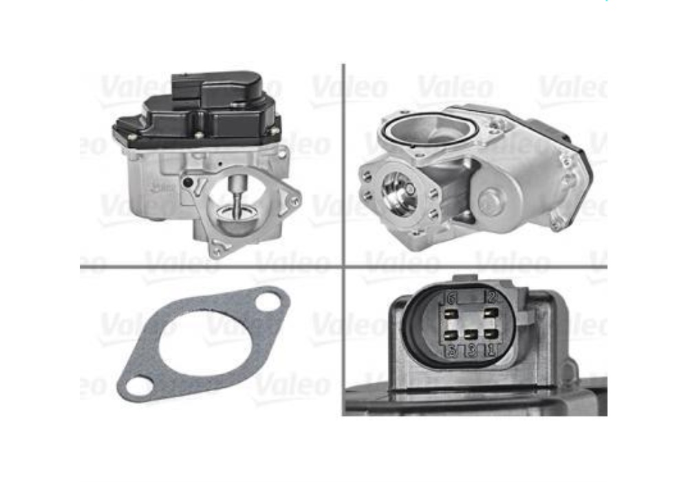 700424 VALEO Zawór EGR pasuje do: AUDI A3, A4 ALLROAD B8, A4 B8, A5, A6 C6, Q5; SEAT ALTEA, A