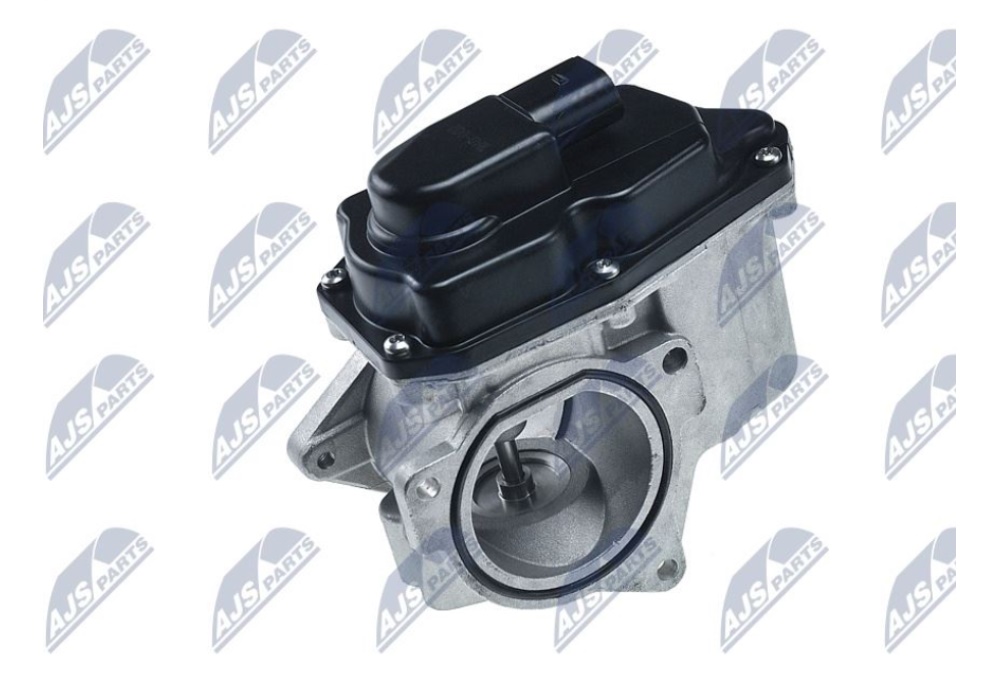 EGR-AU-002 NTY ZAWOR EGR.