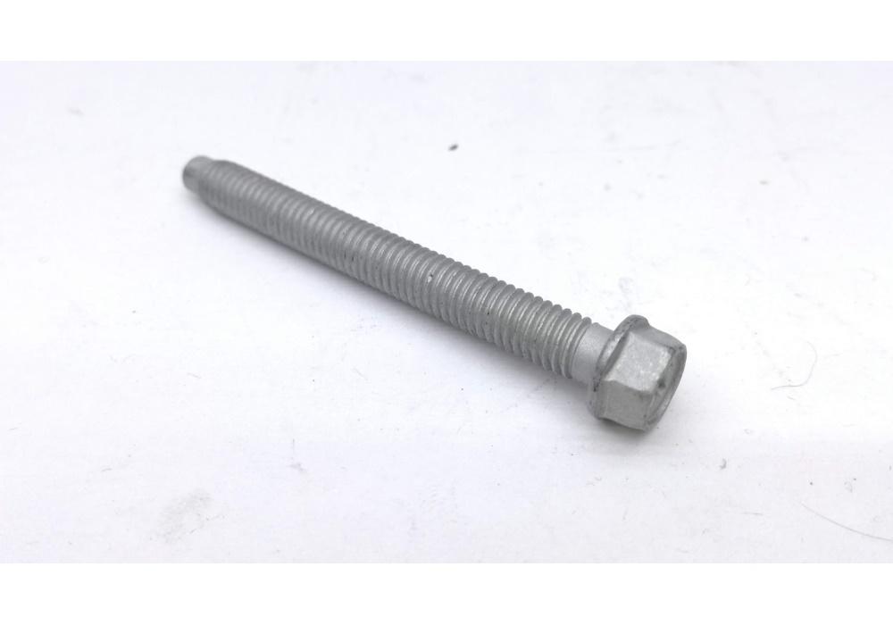 N91002002 VAG Śruba sześciokątna kołnierzowa M6X55