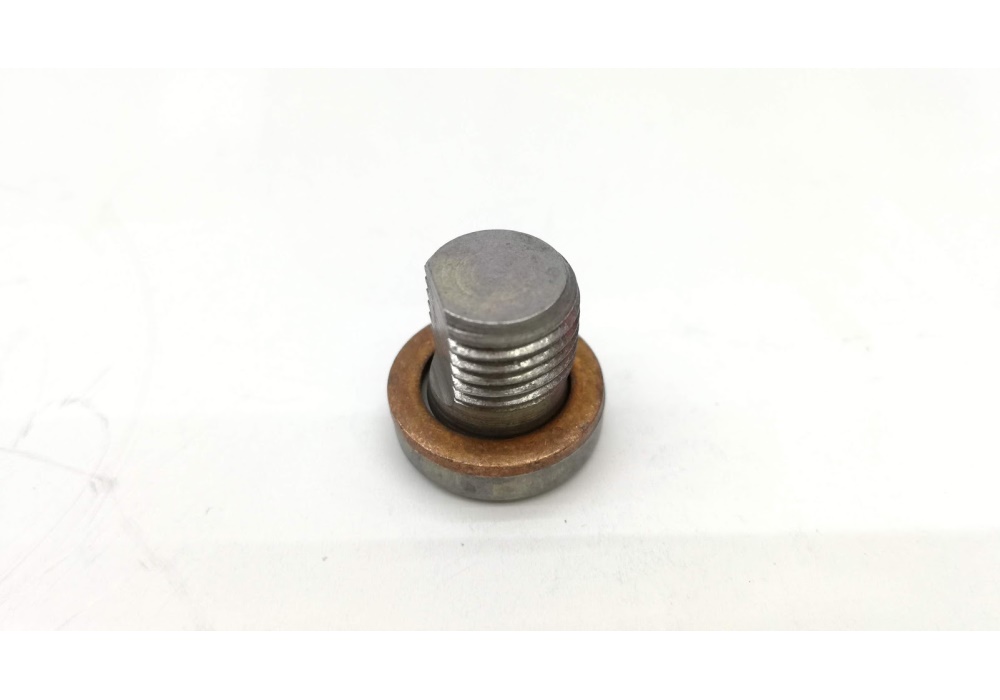 N90534203 VAG śruba-korek odpowietrzenia z uszczelkąM10X10 stal