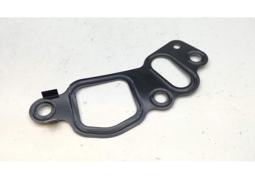 079131120A VAG USZCZELKA