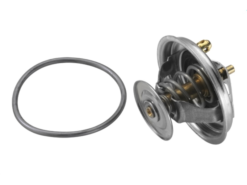 4123.80D BORGWARNER (WAHLER) TERMOSTAT 075 121 113 D