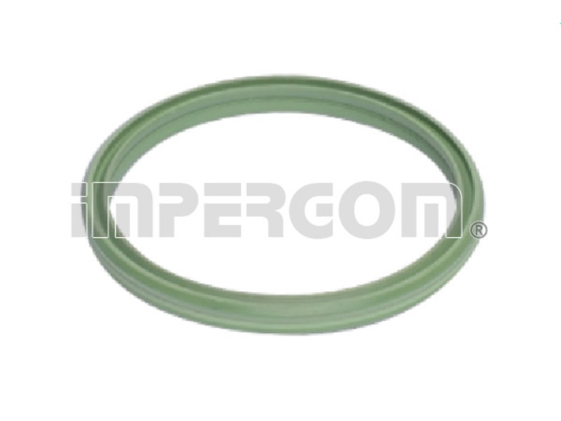 20281 IMPERGOM Oring 61,00 MM PRZEWODÓW CIŚNIENIOWYCH