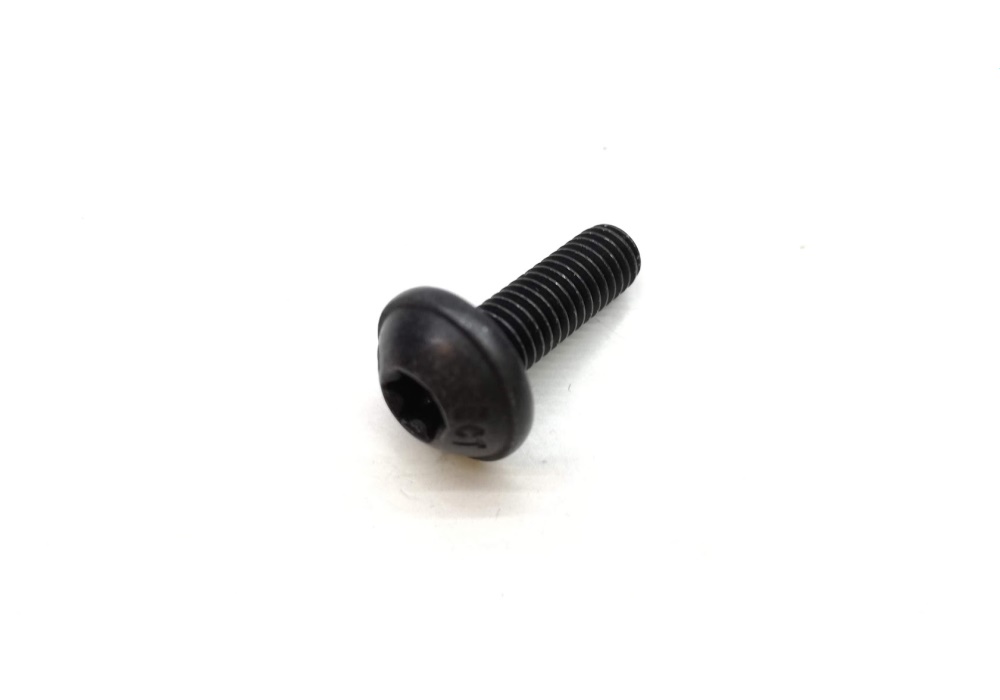 N91074201 VAG Sruba `torx`