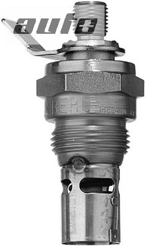 GF 982 BORGWARNER (BERU) BERU świeca płomieniowa 8V (M22x1,5) FORD TRANSIT 2.5 DI/TD/TDI 94-00