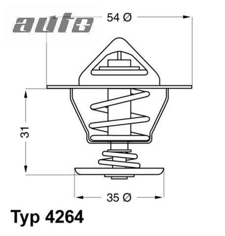 4264.87D BORGWARNER (WAHLER) TERMOSTAT.