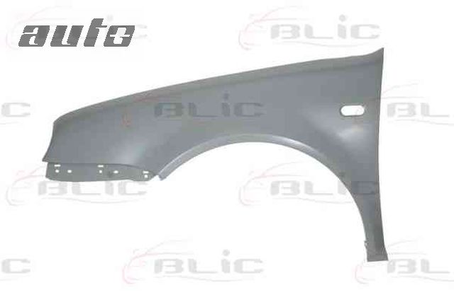 6504-04-9523311P BLIC BŁOTNIK PRZEDNI LEWY GOLF IV