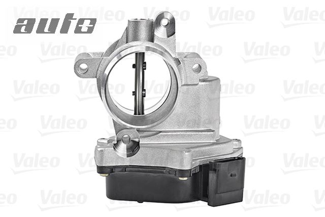 700432 VALEO PRZEPUSTNICA
