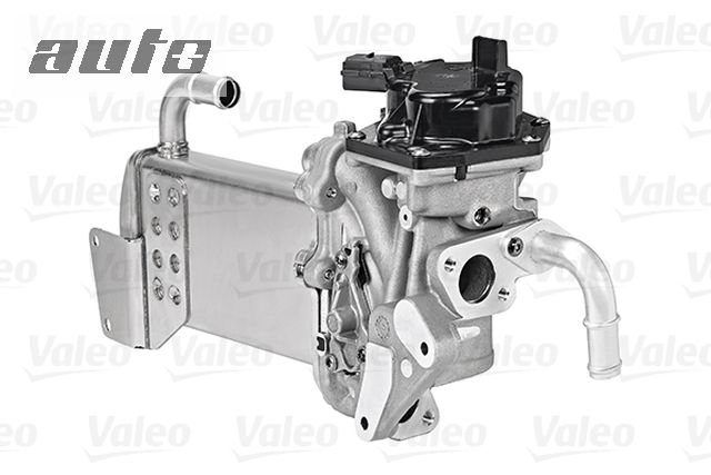 700435 VALEO ZAWOR EGR.